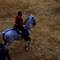 Toros Feria 2017