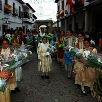 DIA 24 (Ofrenda floral, cucaña. pólvora, verbena)