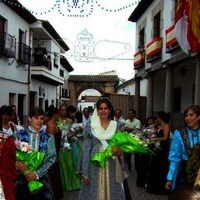 DIA 24 (Ofrenda floral, cucaña. pólvora, verbena)