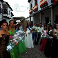 DIA 24 (Ofrenda floral, cucaña. pólvora, verbena)