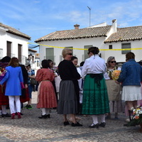 XLIX Fiesta de Primavera