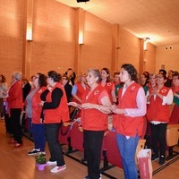 Festival Fin de Curso Voluntariado de Cruz Roja 