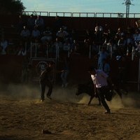 ENCIERROS 2009