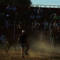 ENCIERROS 2009