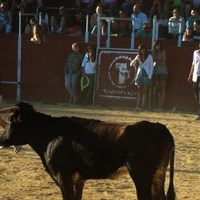 ENCIERROS 2009