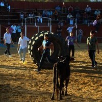 ENCIERROS 2009