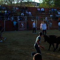 ENCIERROS 2009