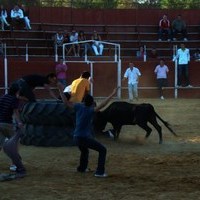 ENCIERROS 2009