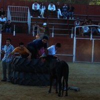 ENCIERROS 2009