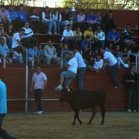 ENCIERROS 2009