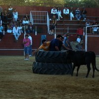 ENCIERROS 2009