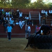 ENCIERROS 2009