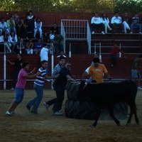 ENCIERROS 2009