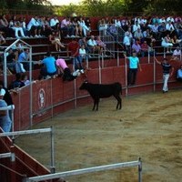 ENCIERROS FERIA 2010