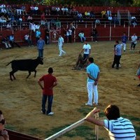 ENCIERROS FERIA 2010