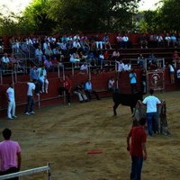 ENCIERROS FERIA 2010