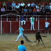 ENCIERROS FERIA 2010