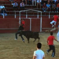 ENCIERROS FERIA 2010