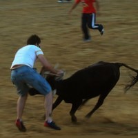 ENCIERROS FERIA 2010