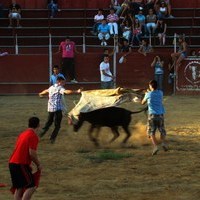 ENCIERROS FERIA 2010