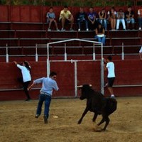 ENCIERROS FERIA 2010