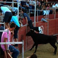 ENCIERROS FERIA 2010