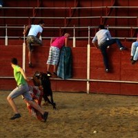 ENCIERROS FERIA 2010