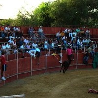 ENCIERROS FERIA 2010