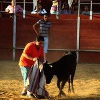 ENCIERROS FERIA 2010