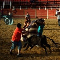 ENCIERROS FERIA 2010