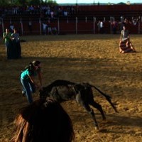 ENCIERROS FERIA 2010