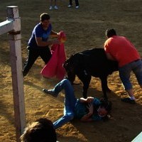 ENCIERROS FERIA 2010