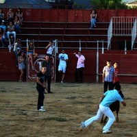 ENCIERROS FERIA 2010