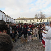 San Antón y Bendición de Animales 