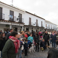 San Antón y Bendición de Animales 