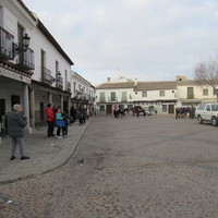 San Antón y Bendición de Animales 