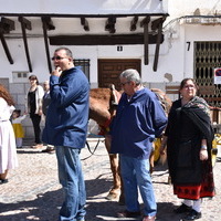 L Fiesta de Primavera 