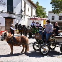 L Fiesta de Primavera 