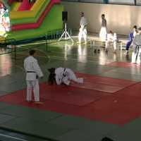 I Festival Judo Lúdico Mancheguito Orgaz-Santacruz en el Pabellón Municipal