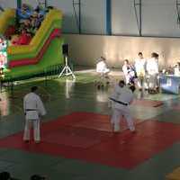 I Festival Judo Lúdico Mancheguito Orgaz-Santacruz en el Pabellón Municipal