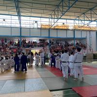 I Festival Judo Lúdico Mancheguito Orgaz-Santacruz en el Pabellón Municipal