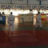 I Festival Judo Lúdico Mancheguito Orgaz-Santacruz en el Pabellón Municipal