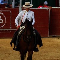 FERIA 2008. FOTOS VARIADAS