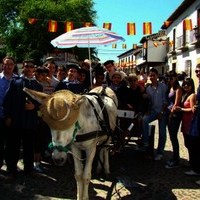 FIESTA DE PRIMAVERA 2010. MERCADO MEDIEVAL Y ROMERIA