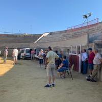 Trofeo de Feria A. Jubilados y Pensionistas Cid Campeador; y A. de Mujeres Doña Jimena 