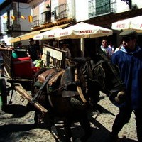 FIESTA DE PRIMAVERA 2010. MERCADO MEDIEVAL Y ROMERIA