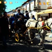 FIESTA DE PRIMAVERA 2010. MERCADO MEDIEVAL Y ROMERIA