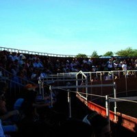 FIESTA DE PRIMAVERA 2010. ROMERIA, TOROS Y ZARZUELA