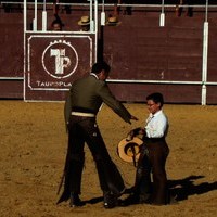 FIESTA DE PRIMAVERA 2010. ROMERIA, TOROS Y ZARZUELA