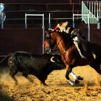 FIESTA DE PRIMAVERA 2010. ROMERIA, TOROS Y ZARZUELA